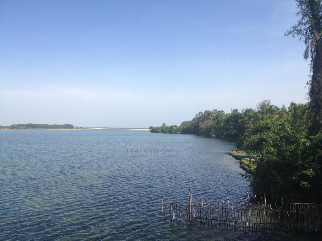 Lord Of The Forest Hotell Batticaloa Rom bilde