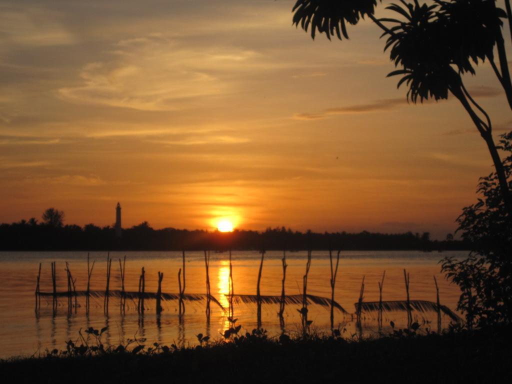 Lord Of The Forest Hotell Batticaloa Rom bilde